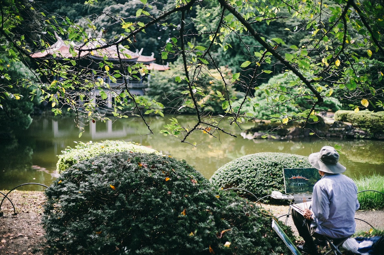 室内绿植小培盆栽，美化居室的绿色艺术