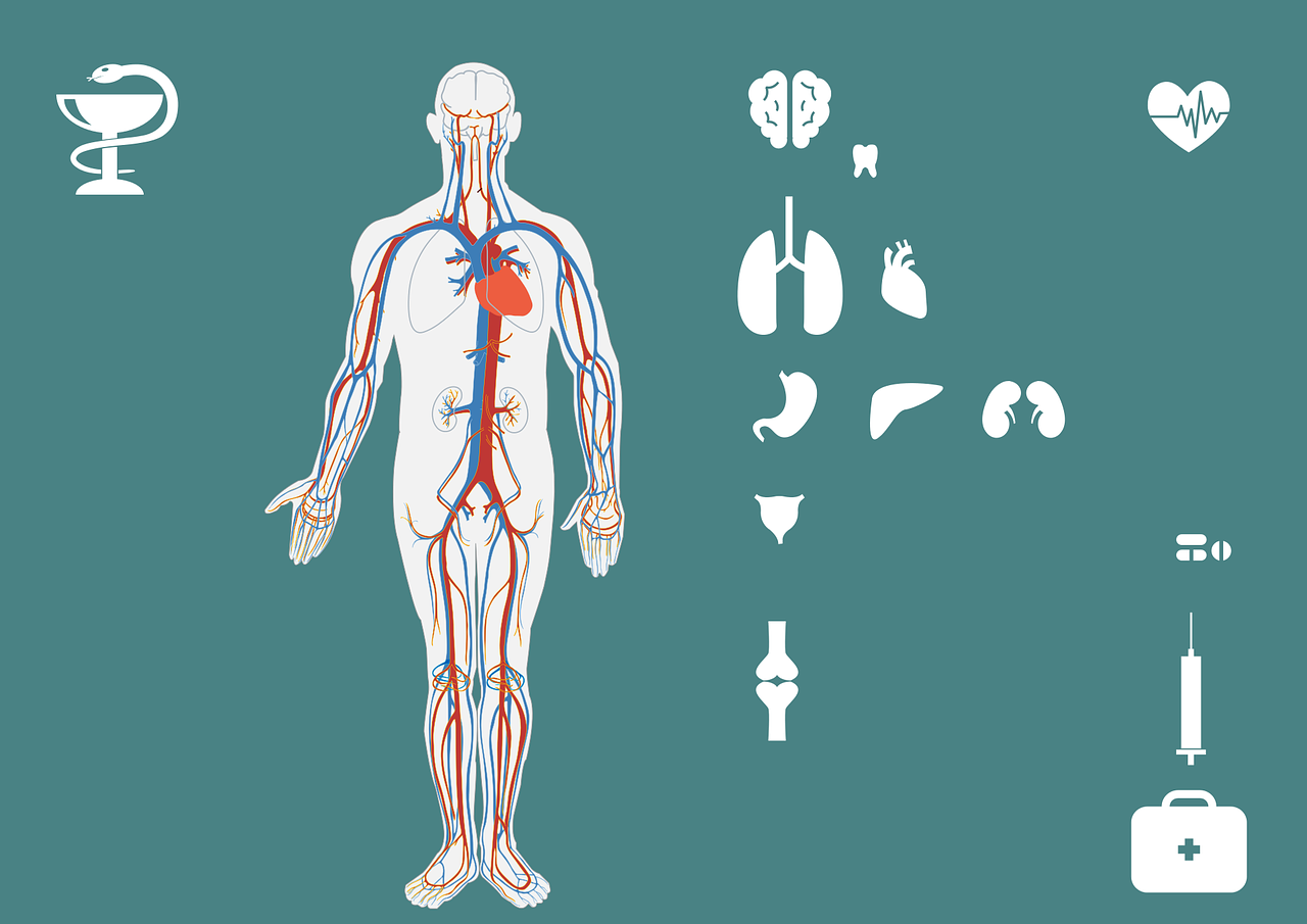 珠海一学生坠楼事件，深度分析与反思