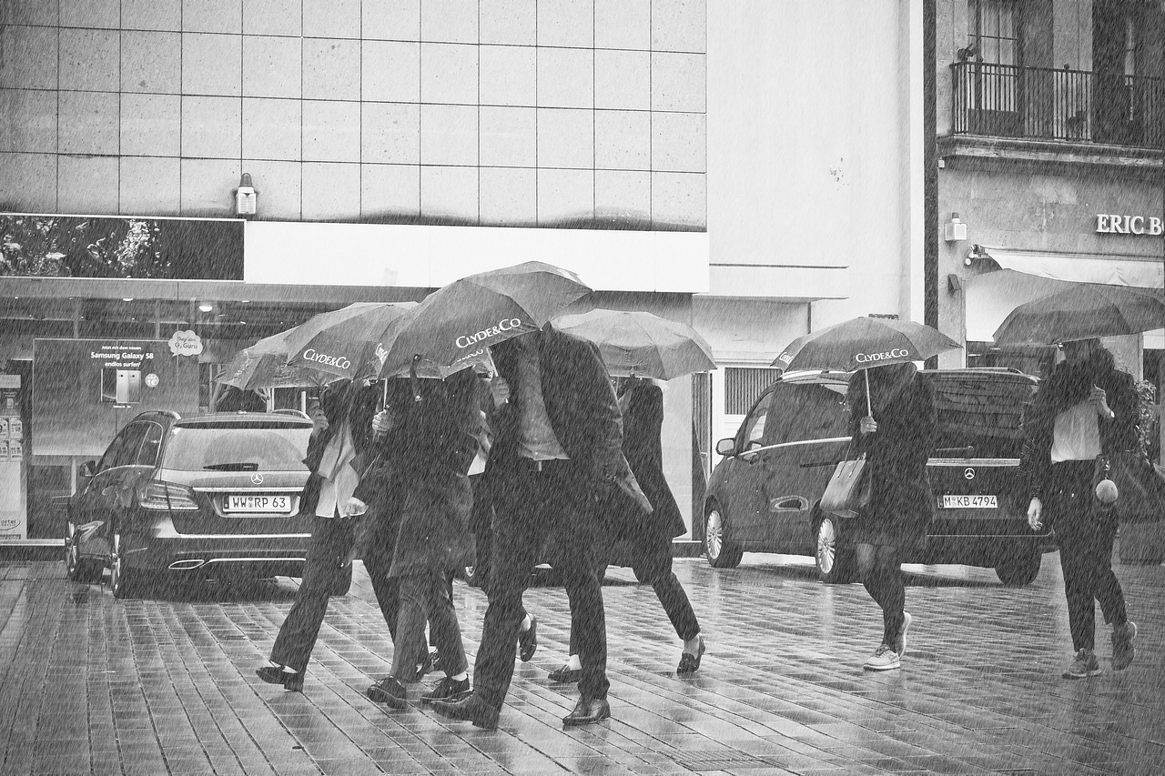 成都暴雨预警最新动态，如何应对暴雨天气