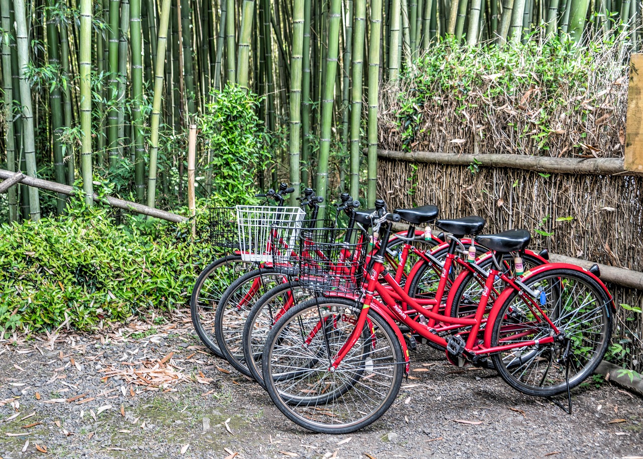 广东旅划算有限公司，探索旅游行业的卓越之旅