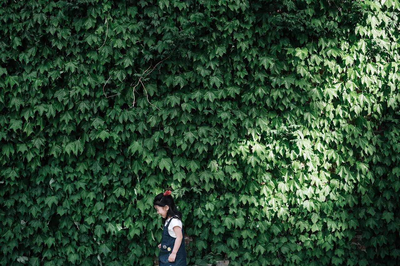 广东省环境教育基地，培育绿色未来的摇篮