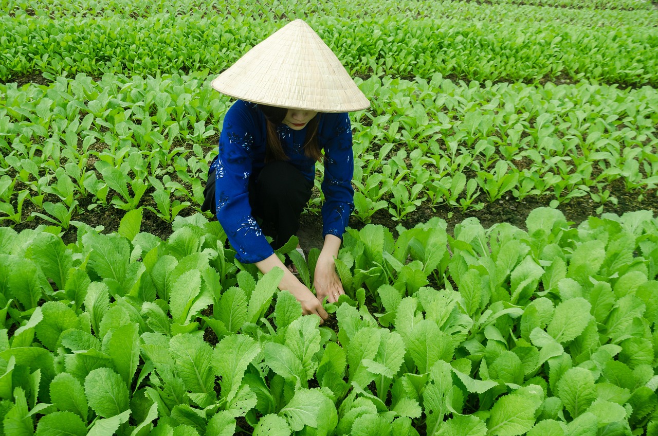 广州最新房产动态，繁荣与发展并驾齐驱